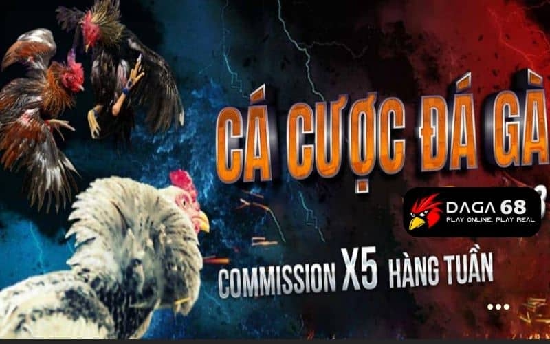 Daga68 - Trang đá gà uy tín số 1 Việt Nam hiện nay
