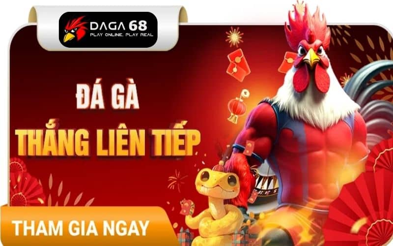Nhận khuyến mãi đặc biệt khi chơi đá gà
