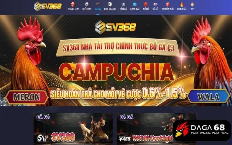 SV368 là trang đá gà uy tín cung cấp nhiều ưu đãi