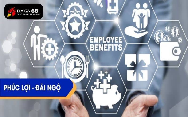 Tuyển dụng DAGA68 đưa ra nhiều phúc lợi cho nhân viên